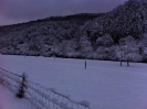 Winter in Dillingen (Pics made by P.Wagner)